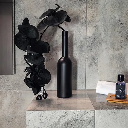 Absolwent Guest house 3*